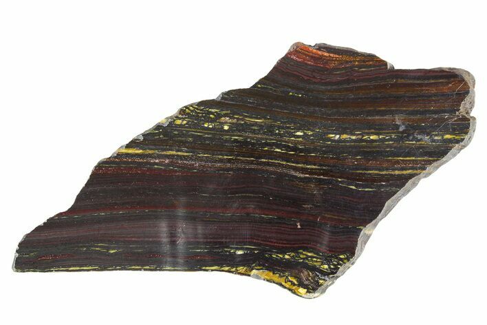 Polished Tiger Iron Stromatolite Slab - Billion Years #351812